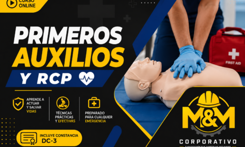 miniatura del curso