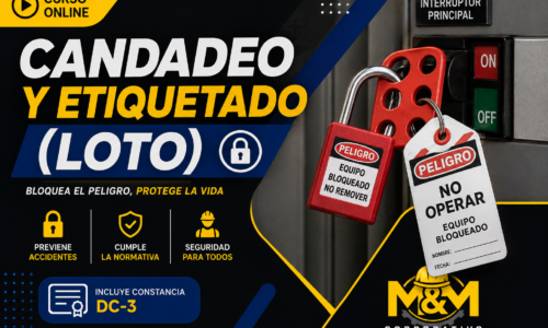 miniatura del curso